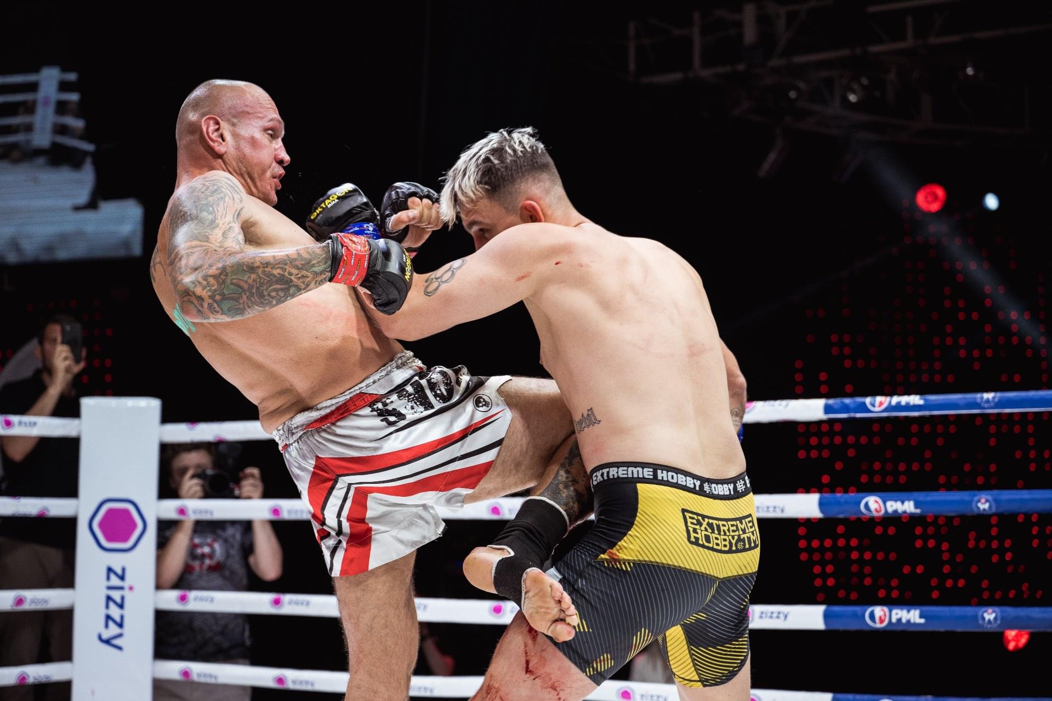 Profesionální zápas