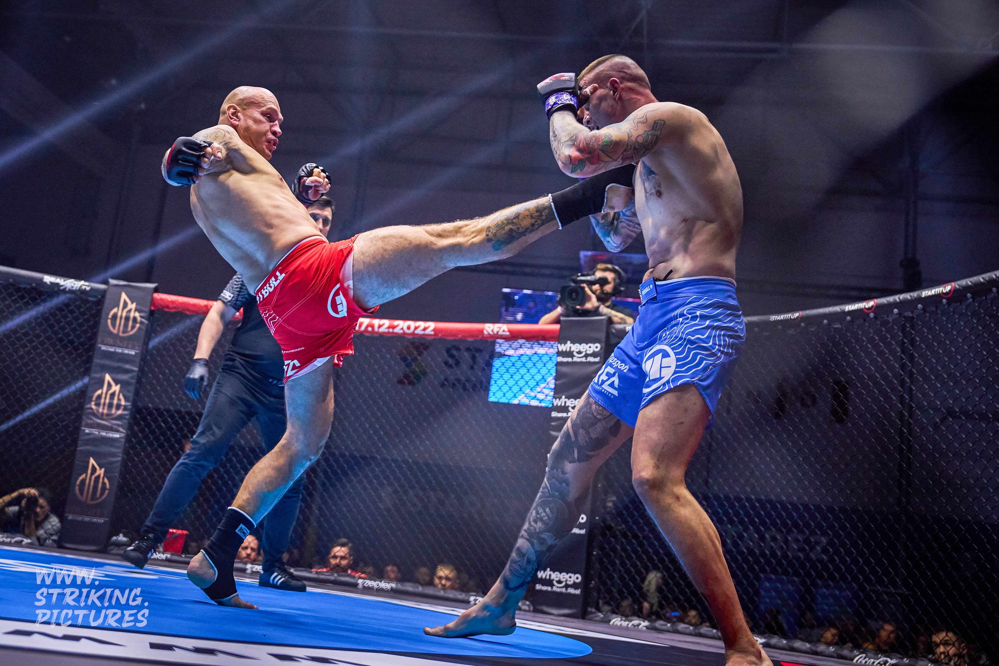 Profesionální zápas