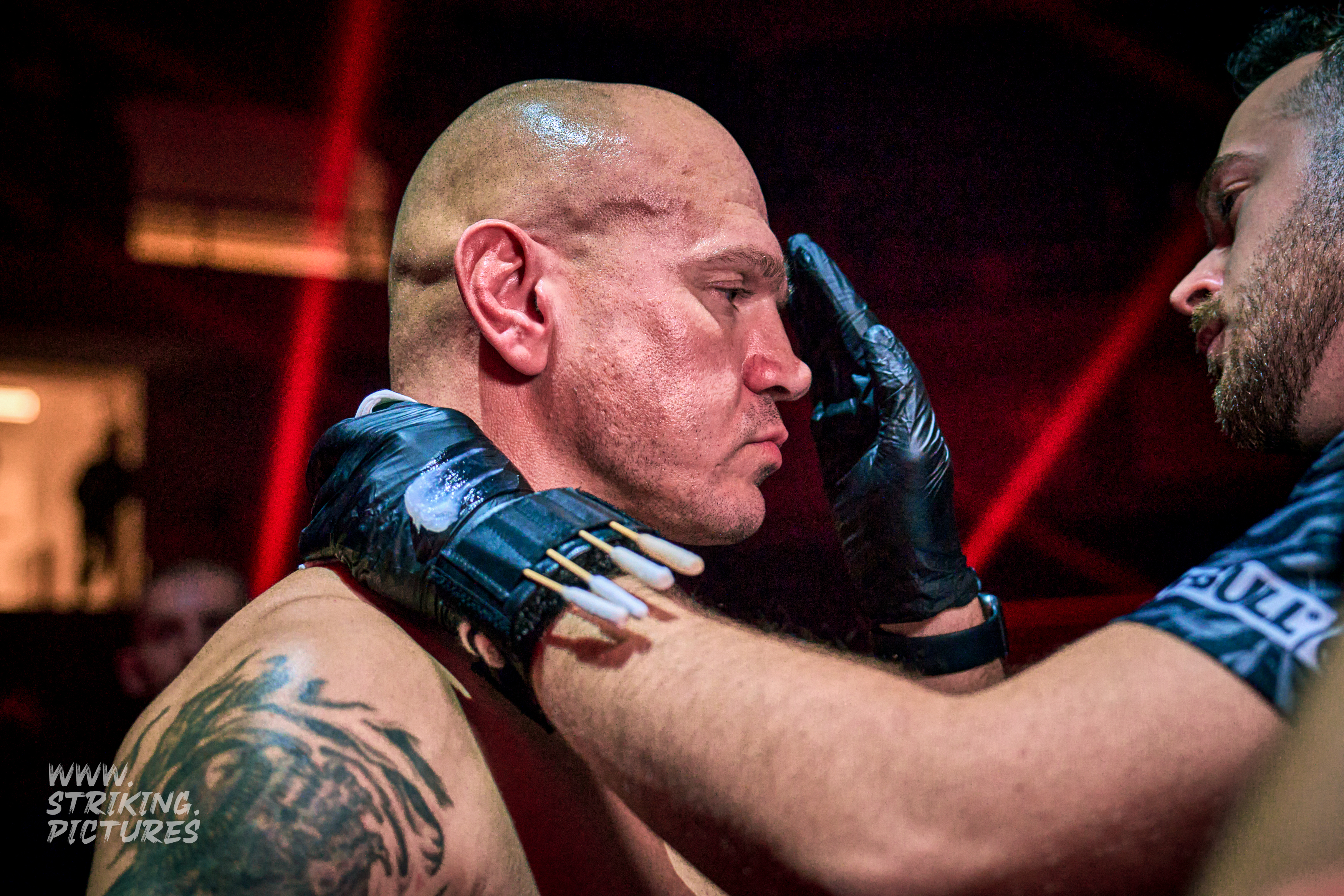 Profesionální zápas