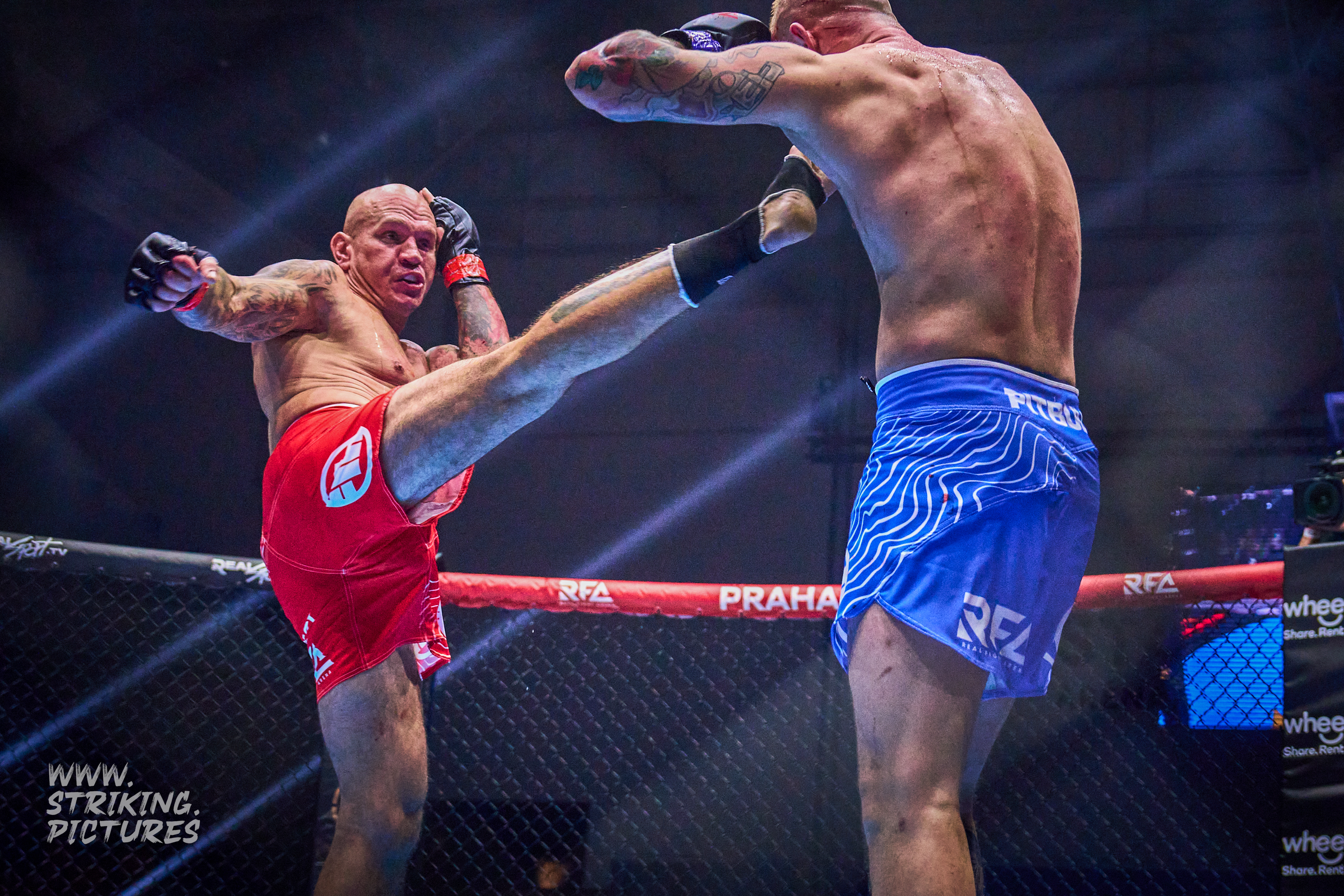 Profesionální zápas