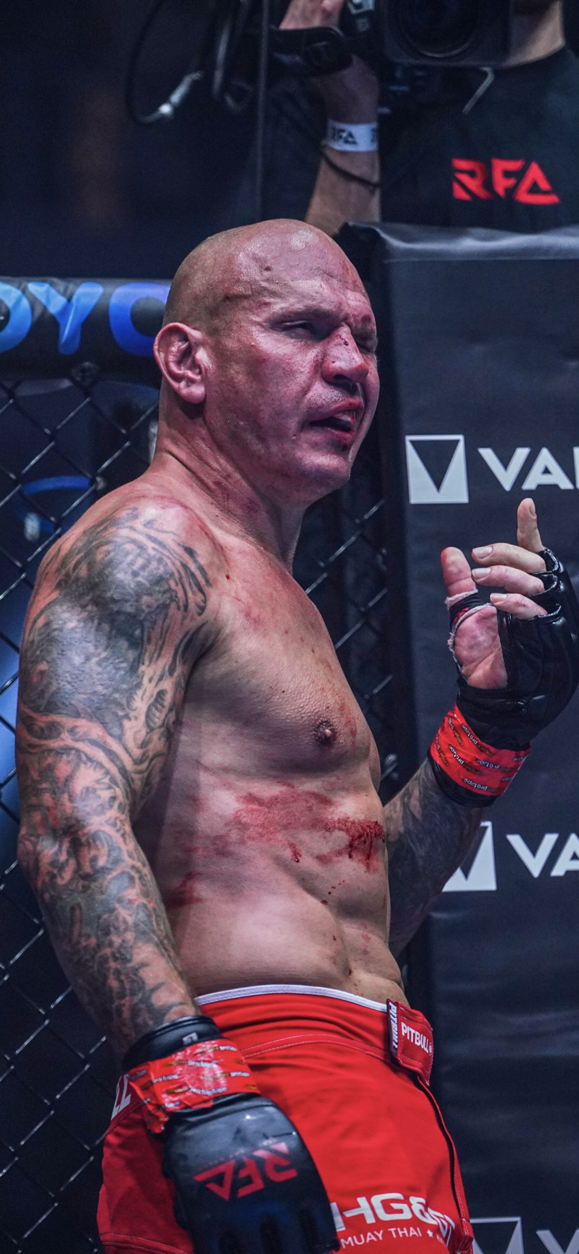 Profesionální zápas