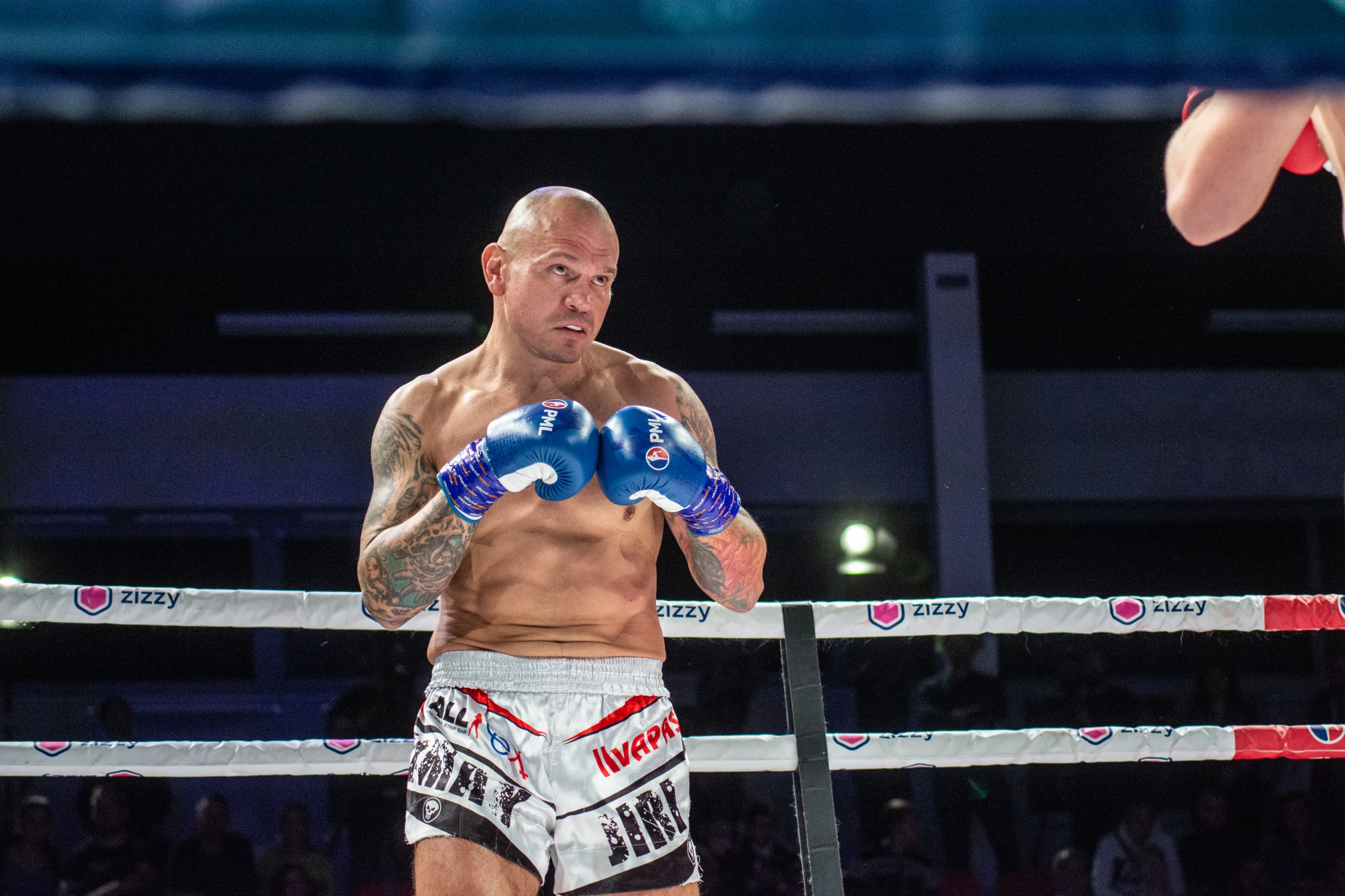 Profesionální zápas