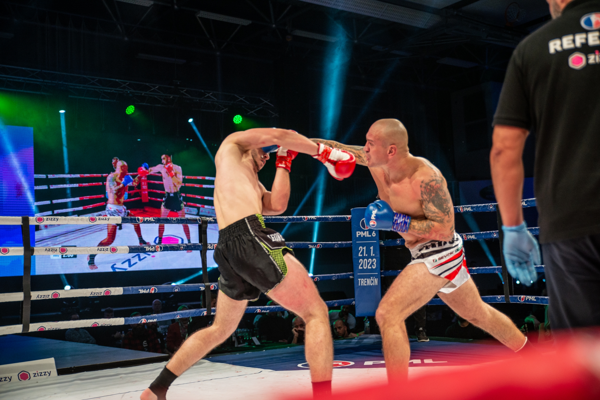 Profesionální zápas