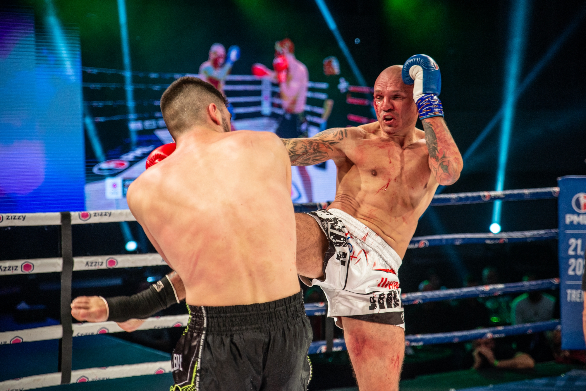 Profesionální zápas