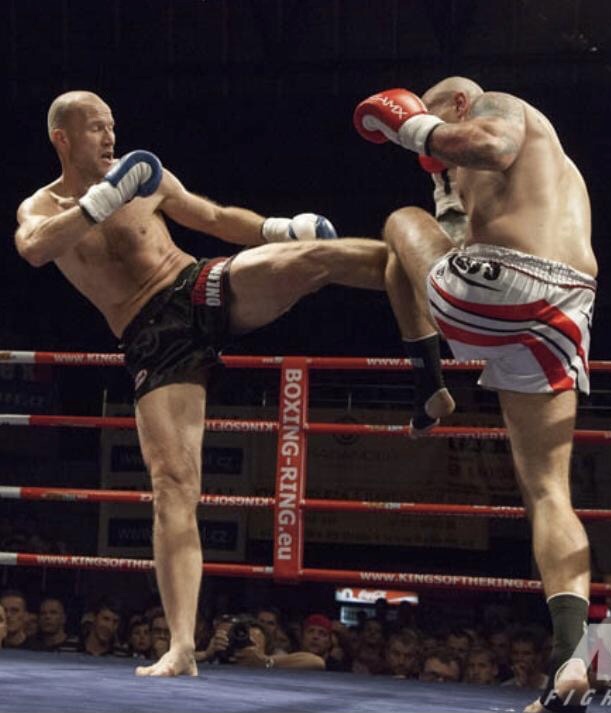 Profesionální zápas