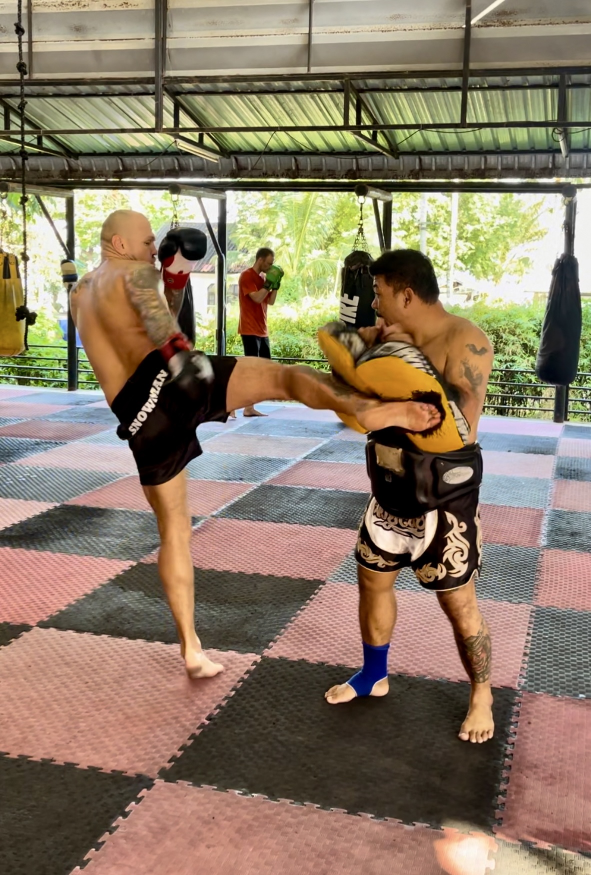 Profesionální zápas