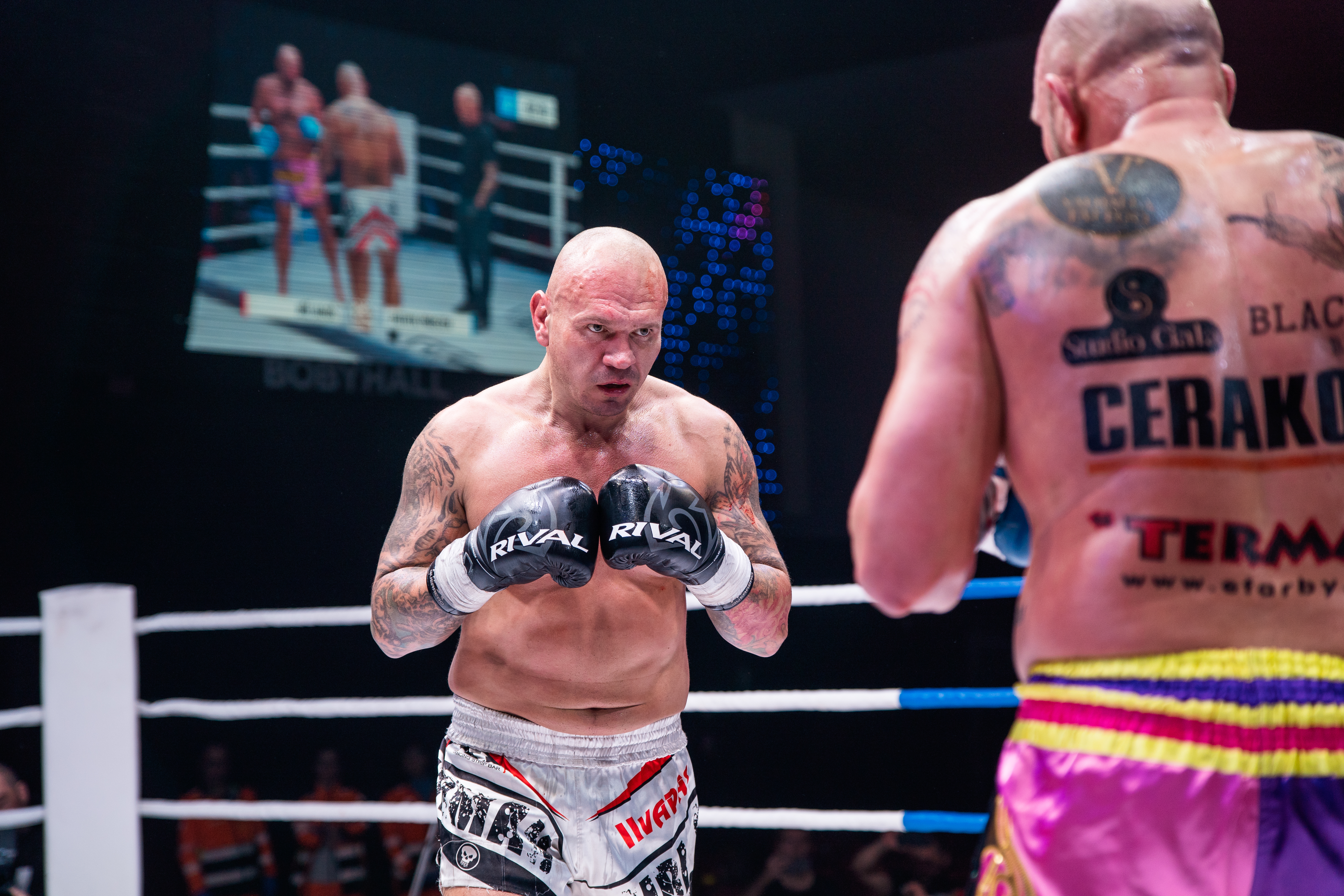 Profesionální zápas