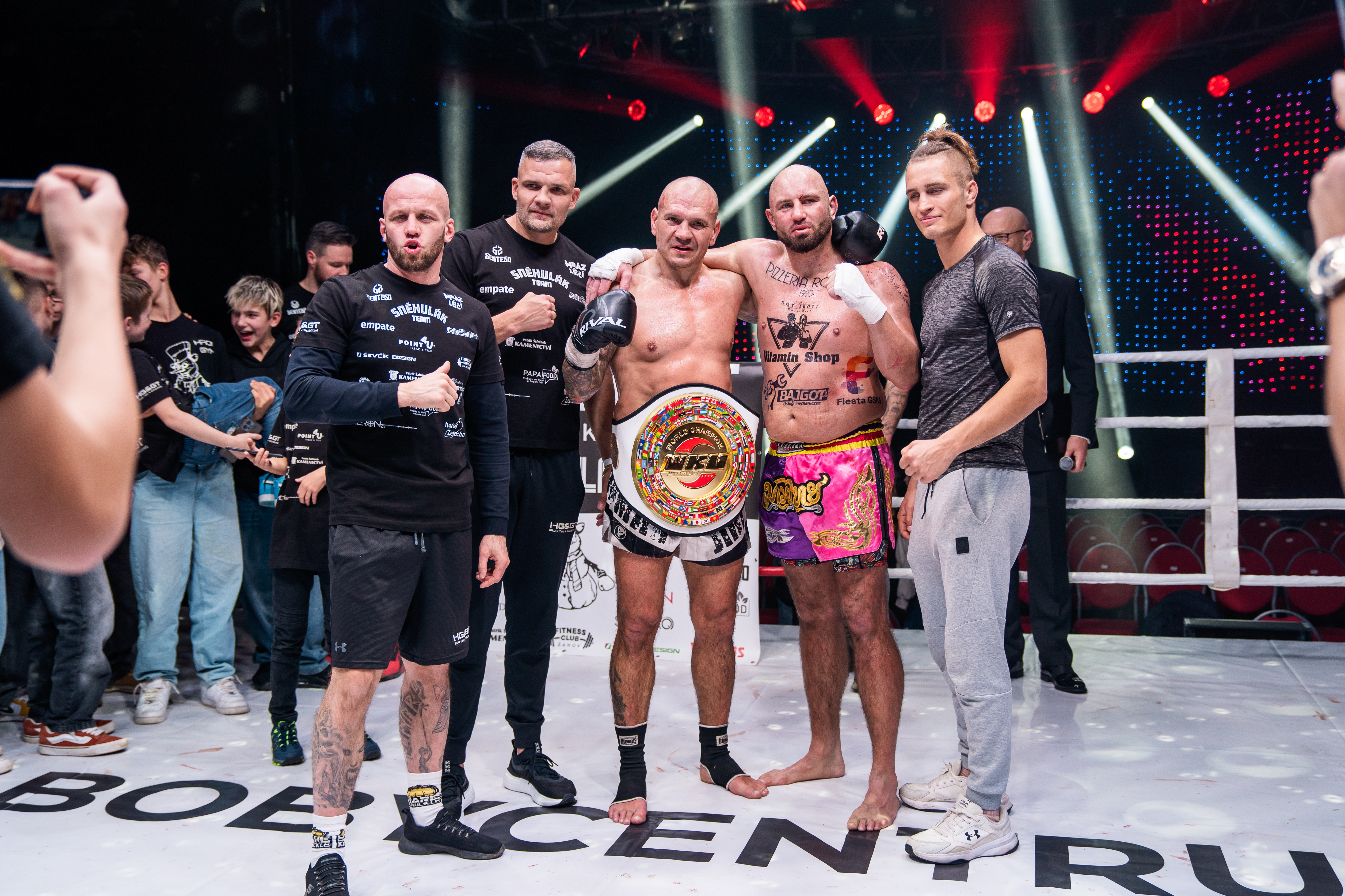 Profesionální zápas