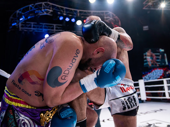 Profesionální zápas