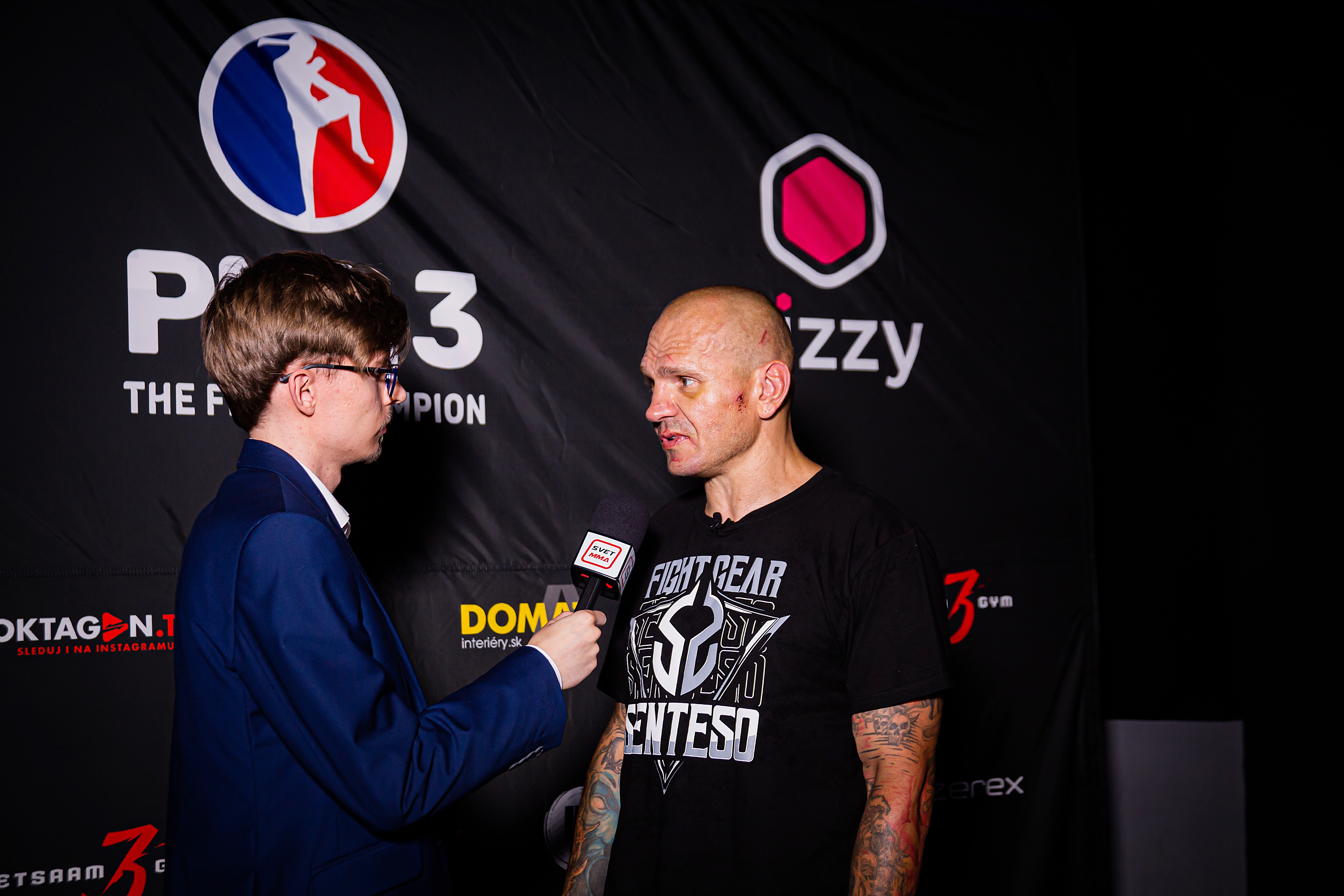 Profesionální zápas