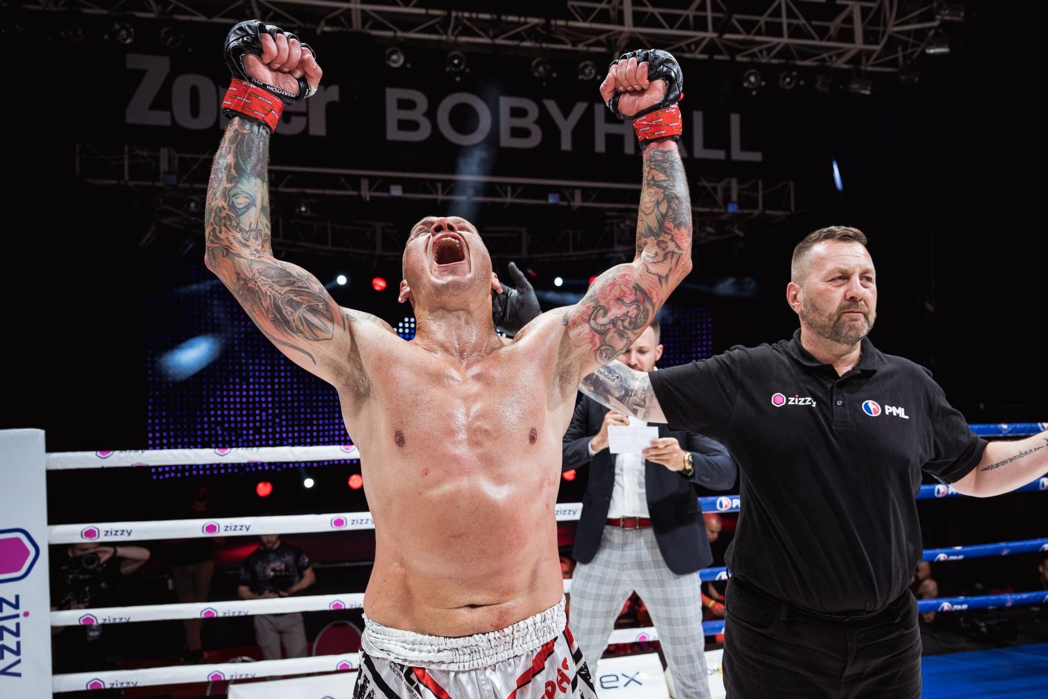 Profesionální zápas