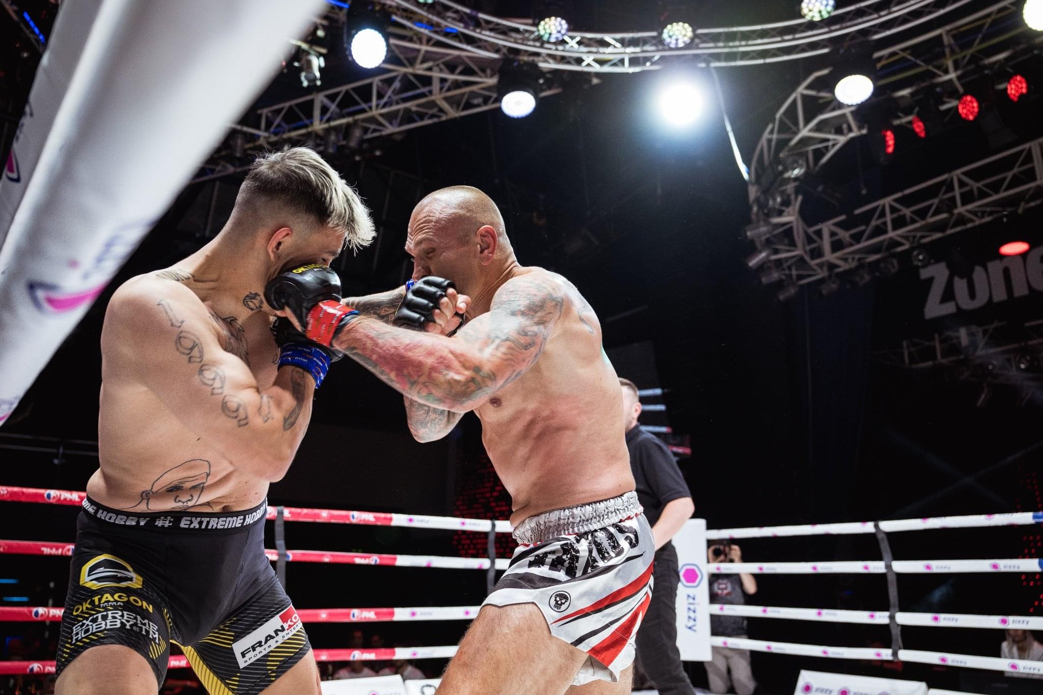 Profesionální zápas