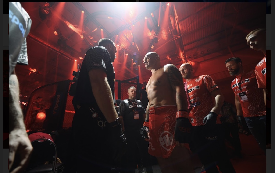 Profesionální zápas